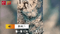 河源茶油价格走势：茶树收购商动态揭秘
