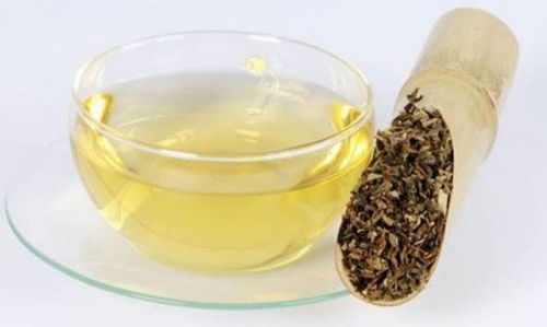 枣树根煮水， 传统与现代的碰撞