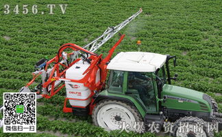 除草剂的选择， 得kan草的习性