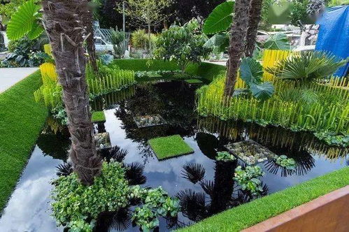 院子里栽雪松的影响