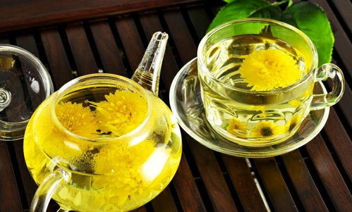 菊花茶为什么会变绿？如何避免变色