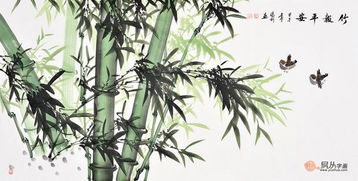 竹子之美究竟隐藏着怎样的秘密语言