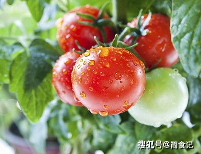 梨子的农药残留情况