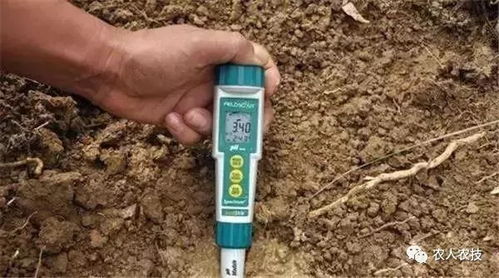 杀虫剂中的碱性之谜