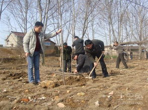 种植前的准备工作