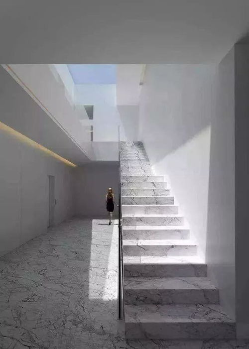 楼梯底下的秘密花园