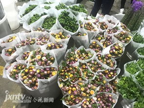 斗南花卉市场：花的世界， 花的海洋