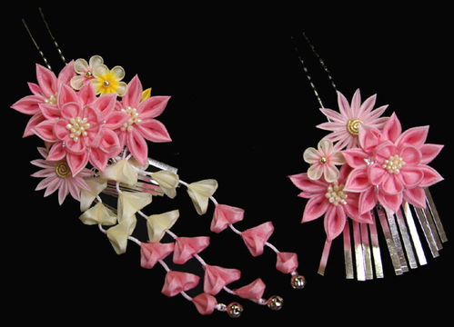 令和风月季的冷风，是受法令之风影响吗？