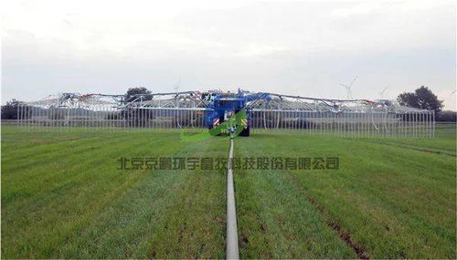 猪场改扩建需全局规划，打造高效农业养殖模式