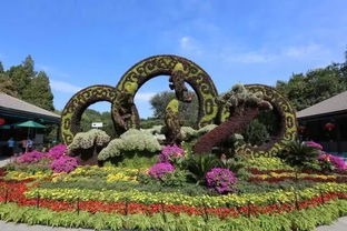 4、 花坛拍摄地点