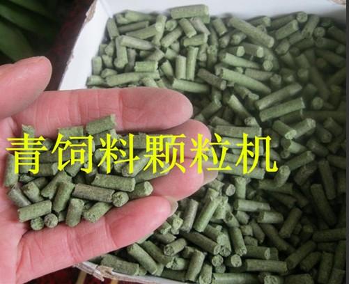 全价颗粒饲料真的能让养殖新手月省3000元吗？效果可靠吗？
