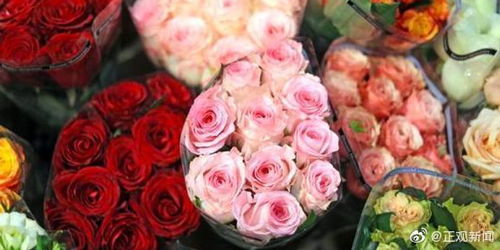 节日玫瑰，贵得有道理