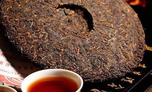 普洱茶生茶与熟茶有何不同？它们在口感、功效上有哪些差异