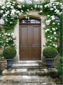 搭建半圆架：蔷薇的舞台