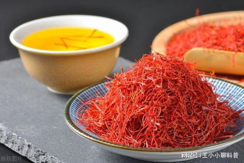 番红花种植的最佳时间和具体方法是怎样的