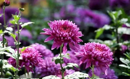 低成本解决方案