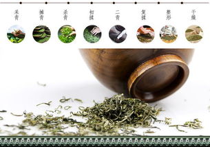 春日新茶：七彩谷普洱价格揭晓，阳春三月品鉴特惠！