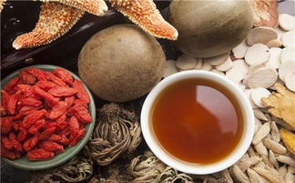 哎呀，我的多肉植物得白粉病了怎么办呢？