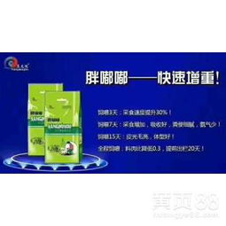 提前出栏的饲料添加剂中，有哪些是专门为养猪设计的？