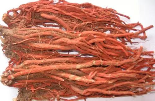 手欠采早了咋整？