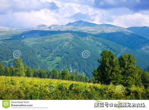 注意事项，那得留意