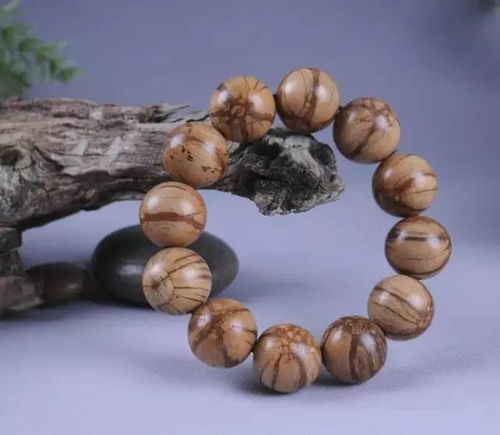 文冠果的故事与产业创新发展大会