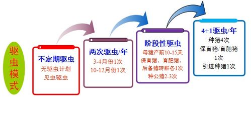 猪场驱虫七要点：定期驱虫