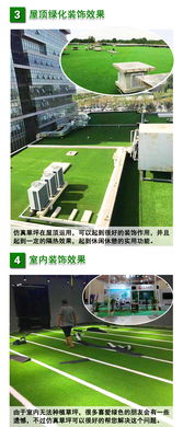 如何运用先进的草皮种植技术，打造出绿意盎然的生态环境？