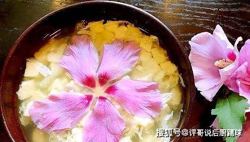 适合鸡食用的牧草品种推荐