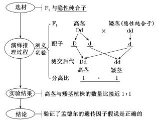 揭秘农业灌溉：水循环的五大关键因素！