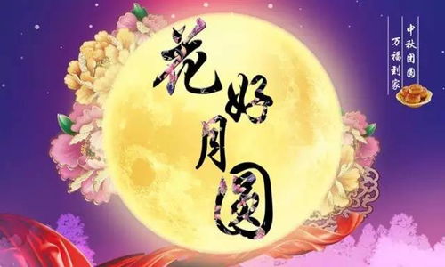 团圆美满之花语传递家庭和睦之美，如何挑选寓意深远的团圆美满花束表达对家人的祝福