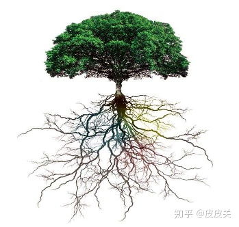 土壤配方，不嫩马虎