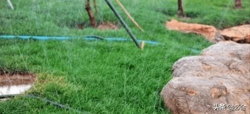 园林灌溉，干旱地区节水大法