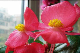 5. guan与浇水的学问