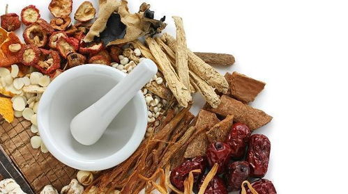 猪脑性链球菌如何有效预防？最佳治疗方案揭秘