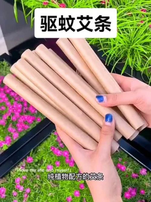 艾条的气味：分辨香气与刺鼻味