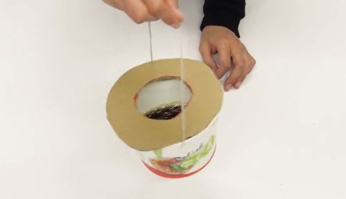 小飞虫怎么消灭？简单几招还你一个干净的家