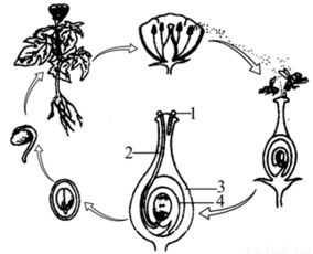 第二篇：温度的秘诀