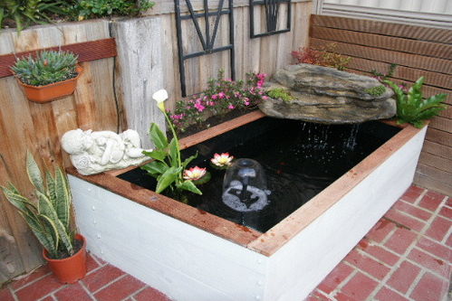 鱼池边种什么花草不易烂根？三类耐湿植物五年对比数据嗯！