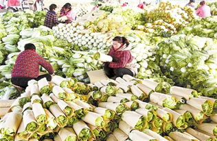 5、种植选择与季节