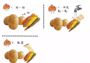水果检测内容