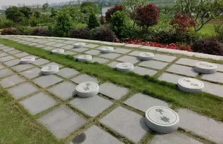 佛山新城滨河景观公园儿童游乐车种类多， 欢乐无限