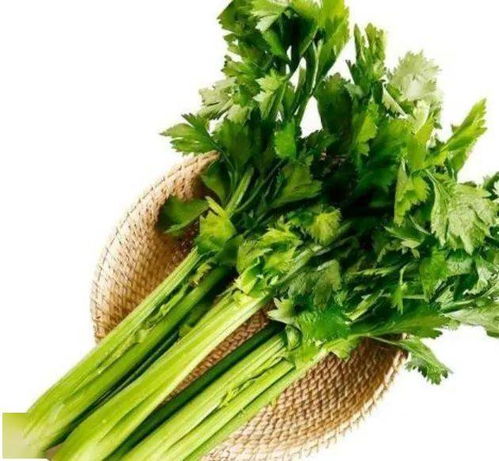 防范为主，治疗为辅