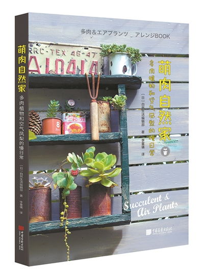 散尾葵适合室内养护的多肉植物吗？如何保证其健康生长