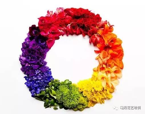 选对花种，30天速成开花达人！