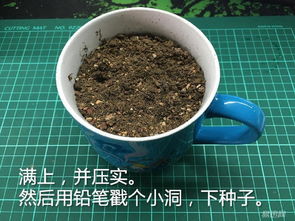 浇点水，种子就发芽了？