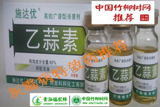 灰霉病治疗多面手