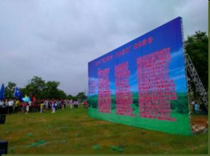 深圳市绿化管理处揭秘：归属部门大揭秘