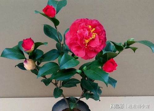 温度，那也是一门学问