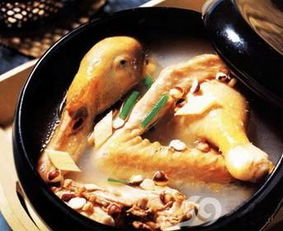 金边龙舌兰炖鸭子，鸭肉鲜嫩